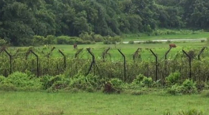 বড়লেখা সীমান্ত দিয়ে আরও ১০ জনকে পুশ ইন  